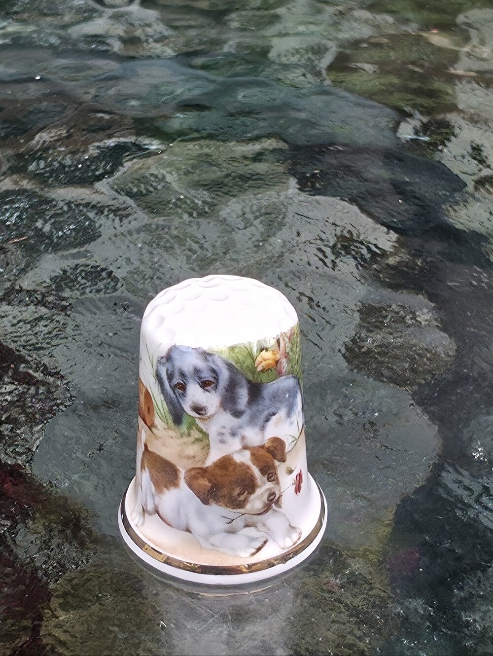 Birchcroft Fine Bone China Thimble